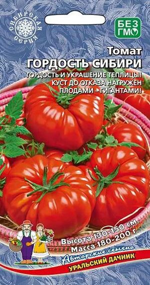 Томат Гордость Сибири Уральский Дачник