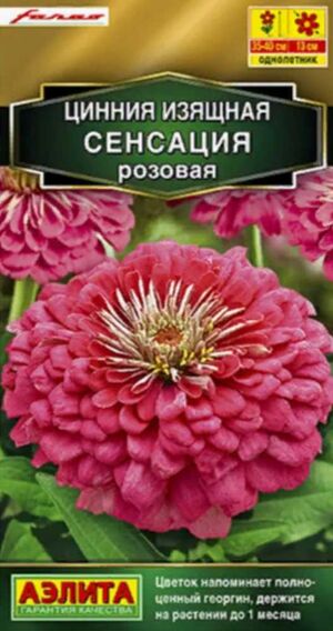 Цинния Сенсация Розовая Аэлита