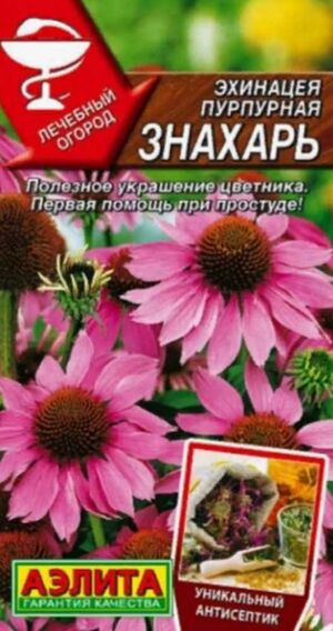 Эхинацея Пурпурная Знахарь Аэлита