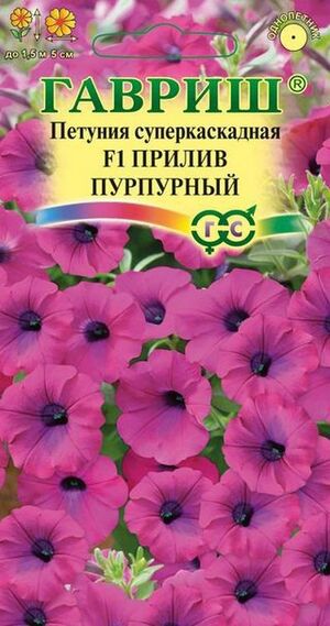 Петуния (Минитуния) Прилив Пурпурный F1 суперкаскадная Гавриш
