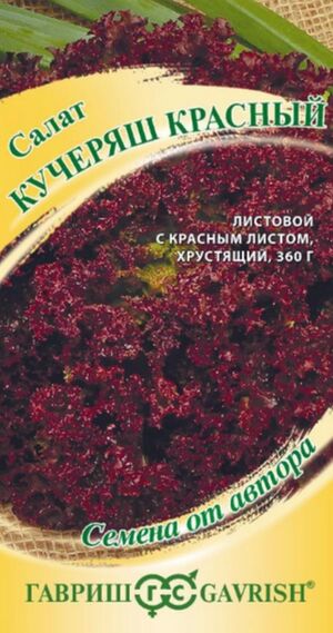 Салат Кучеряш Красный Гавриш
