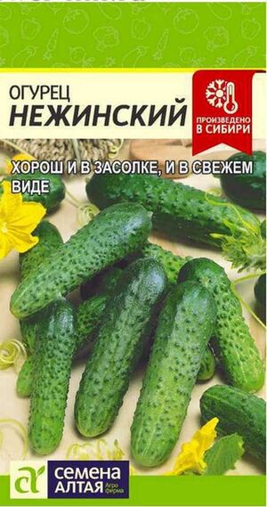 Огурец Нежинский Семена Алтая