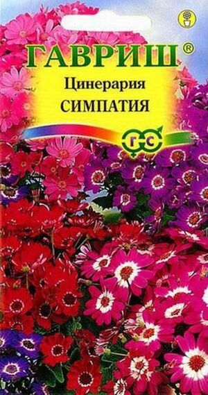 Цинерария Симпатия смесь Гавриш