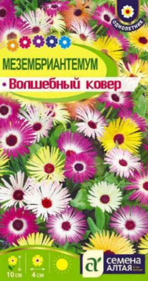 Мезембриантемум Волшебный Ковер Семена Алтая