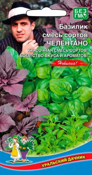 Базилик Челентано Смесь Уральский Дачник