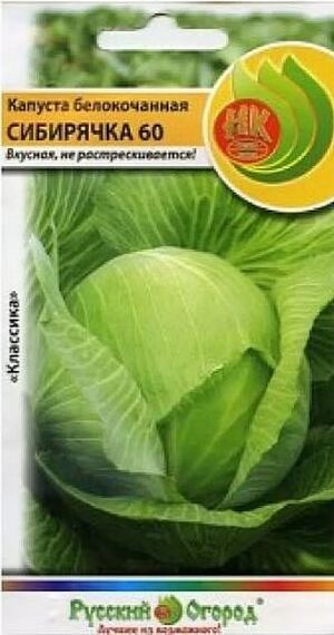 Капуста Сибирячка-60 белокочанная Русский Огород