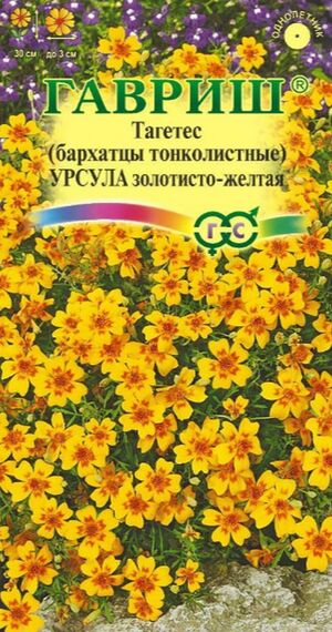 Бархатцы (Тагетес) Урсула тонколистные Гавриш