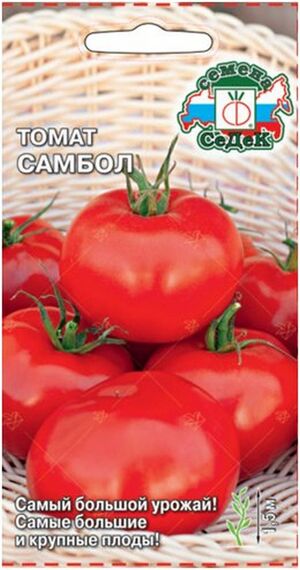 Томат Самбол  Седек