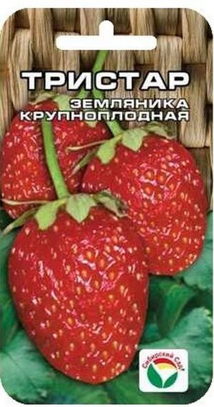 Земляника Тристар Сибирский Сад