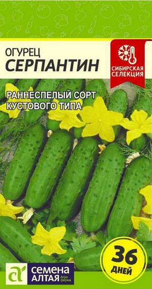 Огурец Серпантин  Семена Алтая