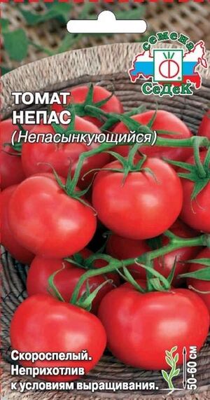 Томат Непас Непасынкующийся Седек