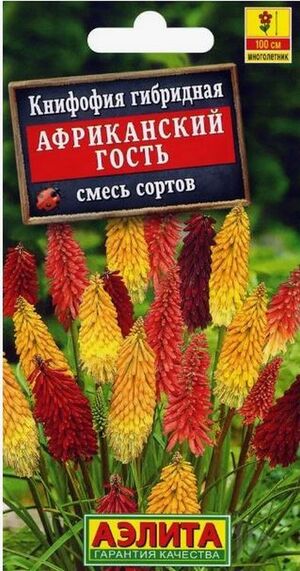 Книфофия Африканский гость смесь многолетник Аэлита