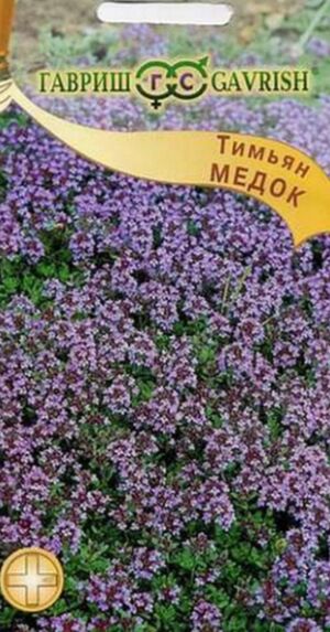 Тимьян ползучий (Чабрец) Медок Гавриш