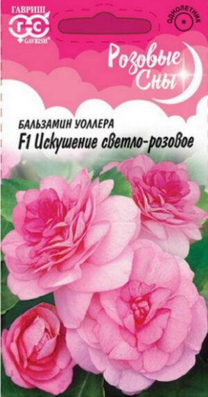Бальзамин Уоллера Искушение Светло-розовое F1 серия Розовые Сны Гавриш