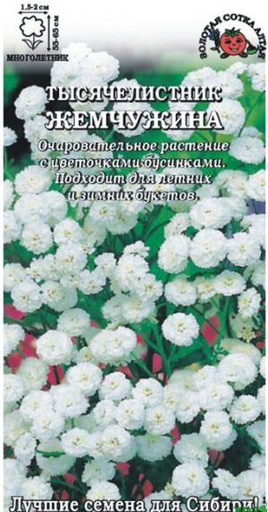 Тысячелистник Жемчужина Золотая Сотка Алтая