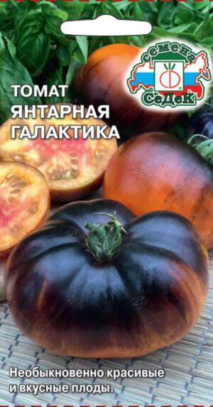 Томат Янтарная Галактика Седек