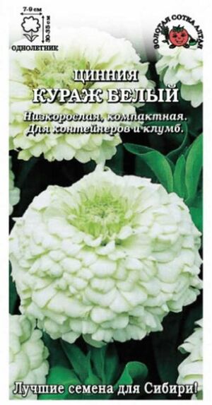 Цинния Кураж Белый Золотая Сотка Алтая