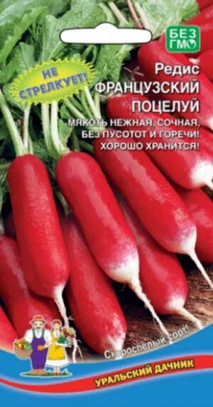 Редис Французский Поцелуй Уральский Дачник