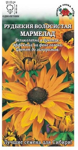 Рудбекия Мармелад Золотая Сотка Алтая
