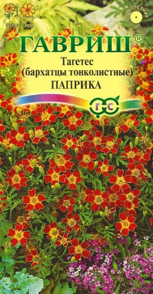 Бархатцы (Тагетес) Паприка тонколистные Гавриш
