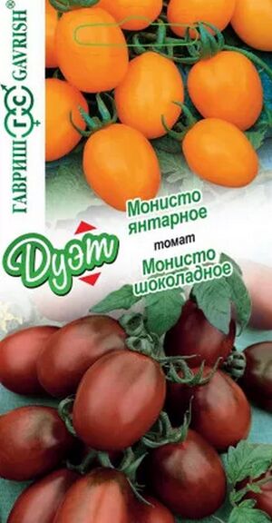 Томат Монисто Шоколадное + Монисто Янтарное серия Дуэт Гавриш