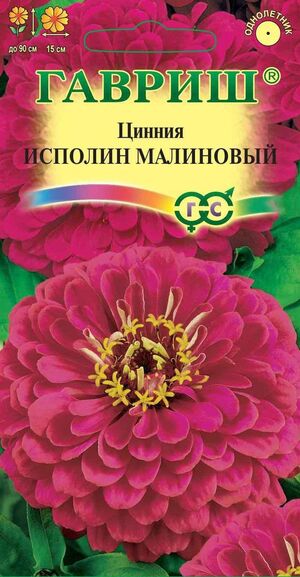 Цинния Исполин Малиновый Гавриш