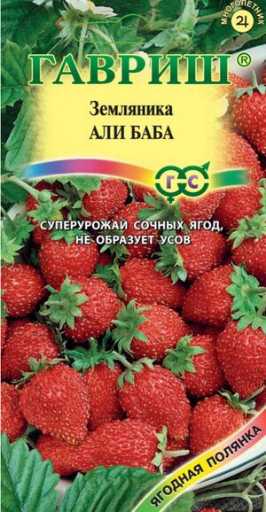 Купить Земляника Али Баба  Гавриш в Томске