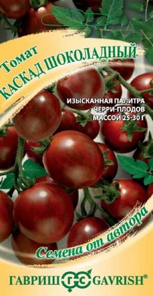 Томат Каскад Шоколадный серия от Автора  Гавриш