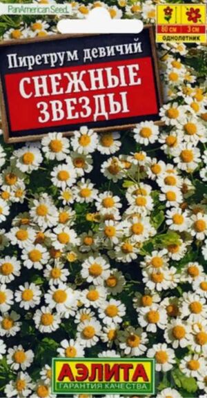 Пиретрум Снежные звезды Аэлита