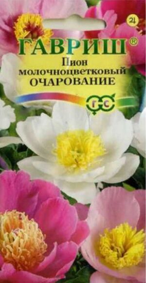 Пион Очарование Молочноцветковый Смесь Гавриш