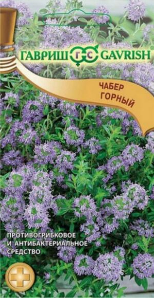Чабер Горный Гавриш