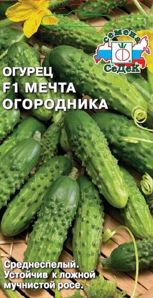 Огурец Мечта Огородника F1 Седек