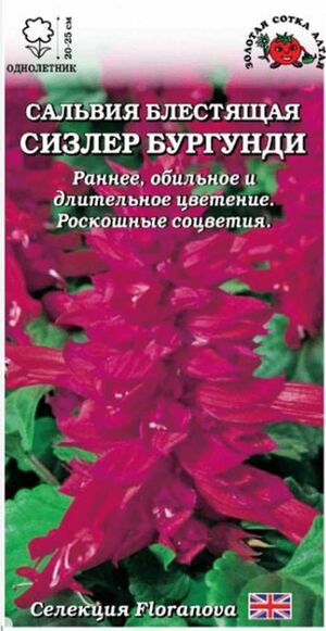Сальвия Сизлер Бургунди Золотая Сотка Алтая