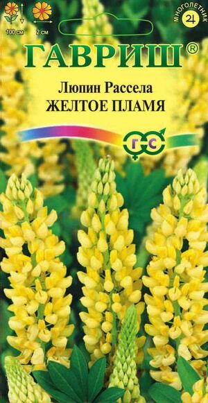 Люпин Желтое Пламя Гавриш