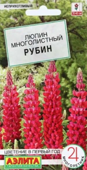 Люпин Рубин Аэлита