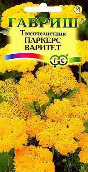 Тысячелистник Паркерс Варитет (желтый) Гавриш