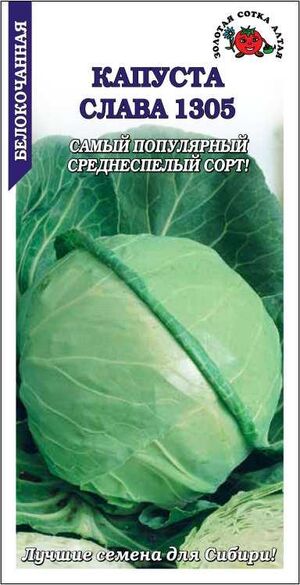 Капуста Слава 1305 белокочанная Золотая Сотка Алтая