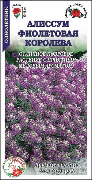 Алиссум (Лобулярия) Фиолетовая королева Золотая Сотка Алтая