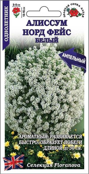 Алиссум (Лобулярия) Норд Фейс белый, ампельный Золотая Сотка Алтая