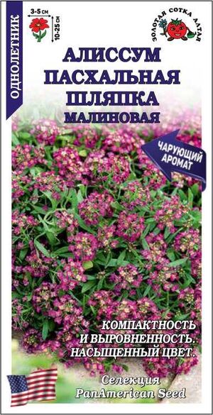 Алиссум (Лобулярия) Пасхальная Шляпка Малиновая Золотая Сотка Алтая