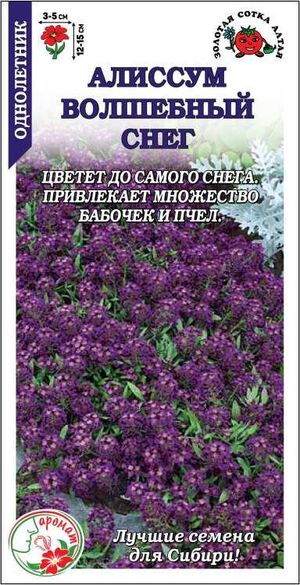 Алиссум (Лобулярия) Волшебный снег Золотая Сотка Алтая