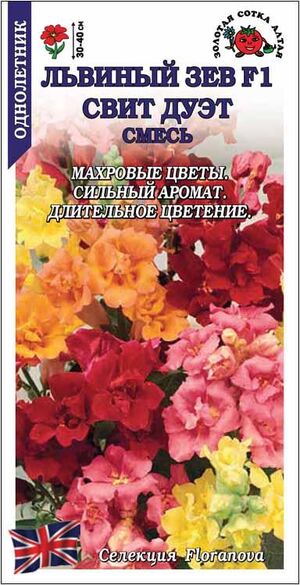 Антирринум (Львиный зев) Свит Дуэт Пич Золотая Сотка Алтая