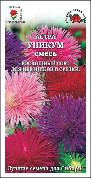Астра Уникум смесь, игольчатая Золотая Сотка Алтая