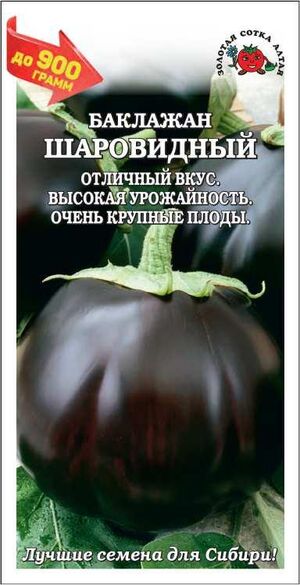 Баклажан Шаровидный Золотая Сотка Алтая