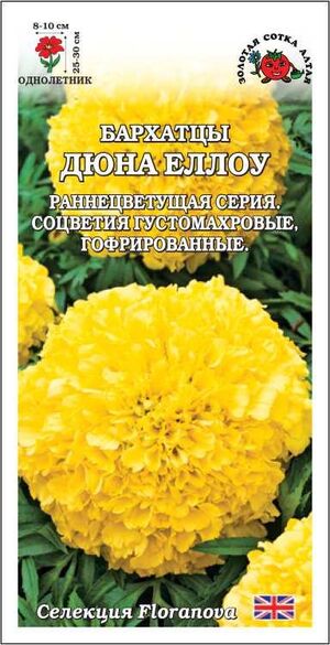 Бархатцы (Тагетес) Дюна Еллоу, прямостоячие Золотая Сотка Алтая