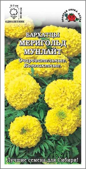 Бархатцы (Тагетес) Мериголд Мунлайт Золотая Сотка Алтая
