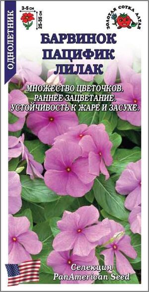Барвинок (Катарантус) Пацифик Лилак Золотая Сотка Алтая