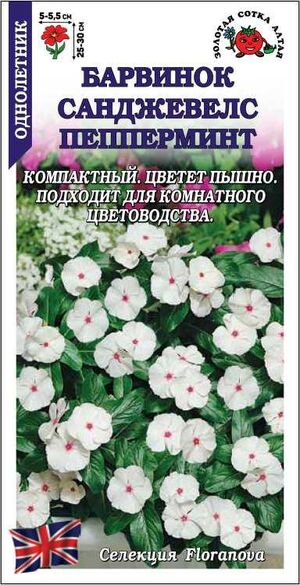 Барвинок (Катарантус) Санджевелс Пеперминт Золотая Сотка Алтая