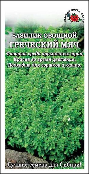 Базилик Греческий Мяч Золотая Сотка Алтая