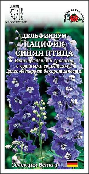 Дельфиниум Пацифик Синяя птица Золотая Сотка Алтая